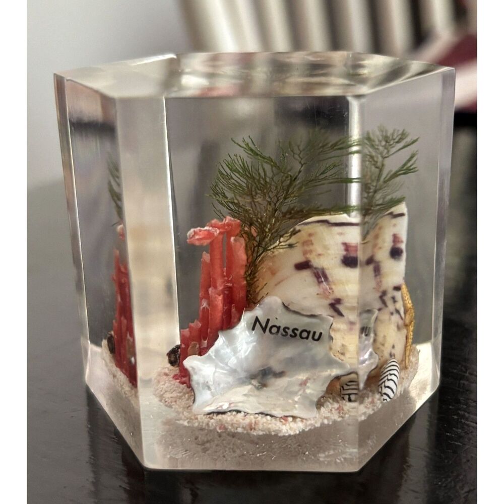 Vintage Nassau Bahamas Lucite Resin Paperweight Seashell Coral Beach Scene